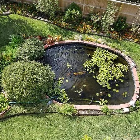 The Seahorse Apt - Lakeside And Close To The Beach Daire Galveston Dış mekan fotoğraf