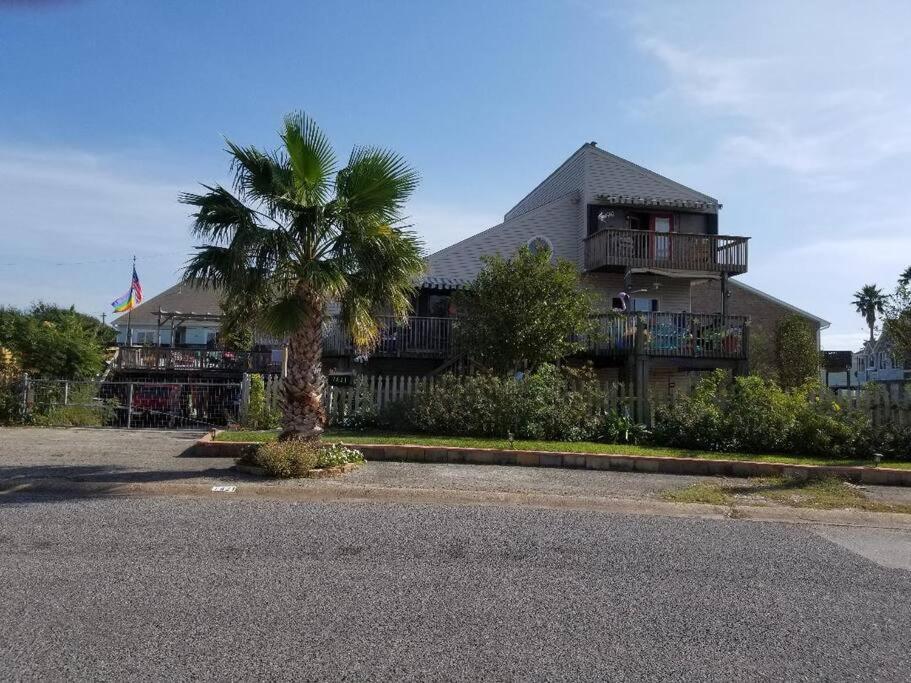 The Seahorse Apt - Lakeside And Close To The Beach Daire Galveston Dış mekan fotoğraf