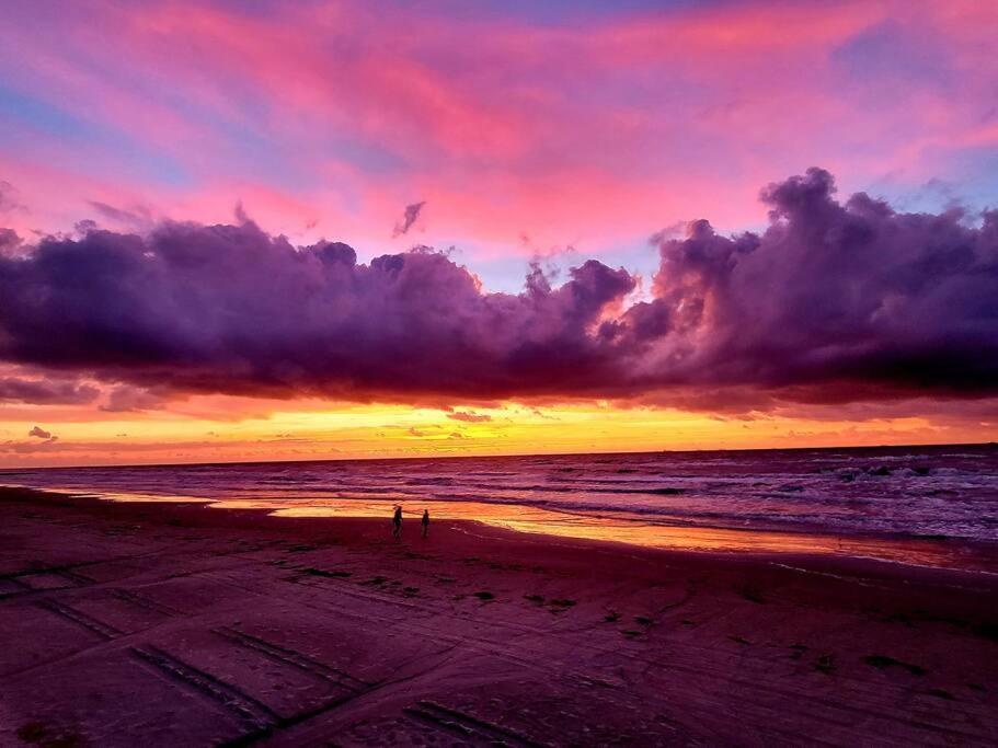 The Seahorse Apt - Lakeside And Close To The Beach Daire Galveston Dış mekan fotoğraf